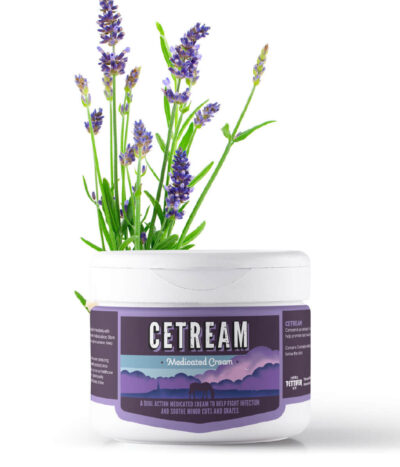 Cetream Medicated Cream